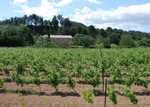 Domaine De "Creva-Tinas" Bed & Breakfast Mailhac Luaran gambar