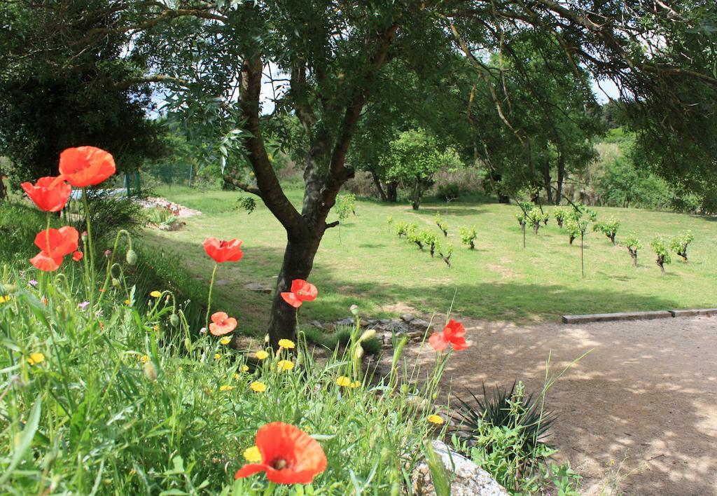Domaine De "Creva-Tinas" Bed & Breakfast Mailhac Luaran gambar